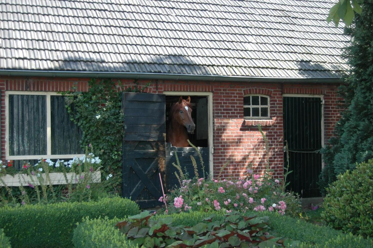 Erve Het Roolvink Boerderij Appartementen 40-50 M2 เอนส์เคอเด ภายนอก รูปภาพ