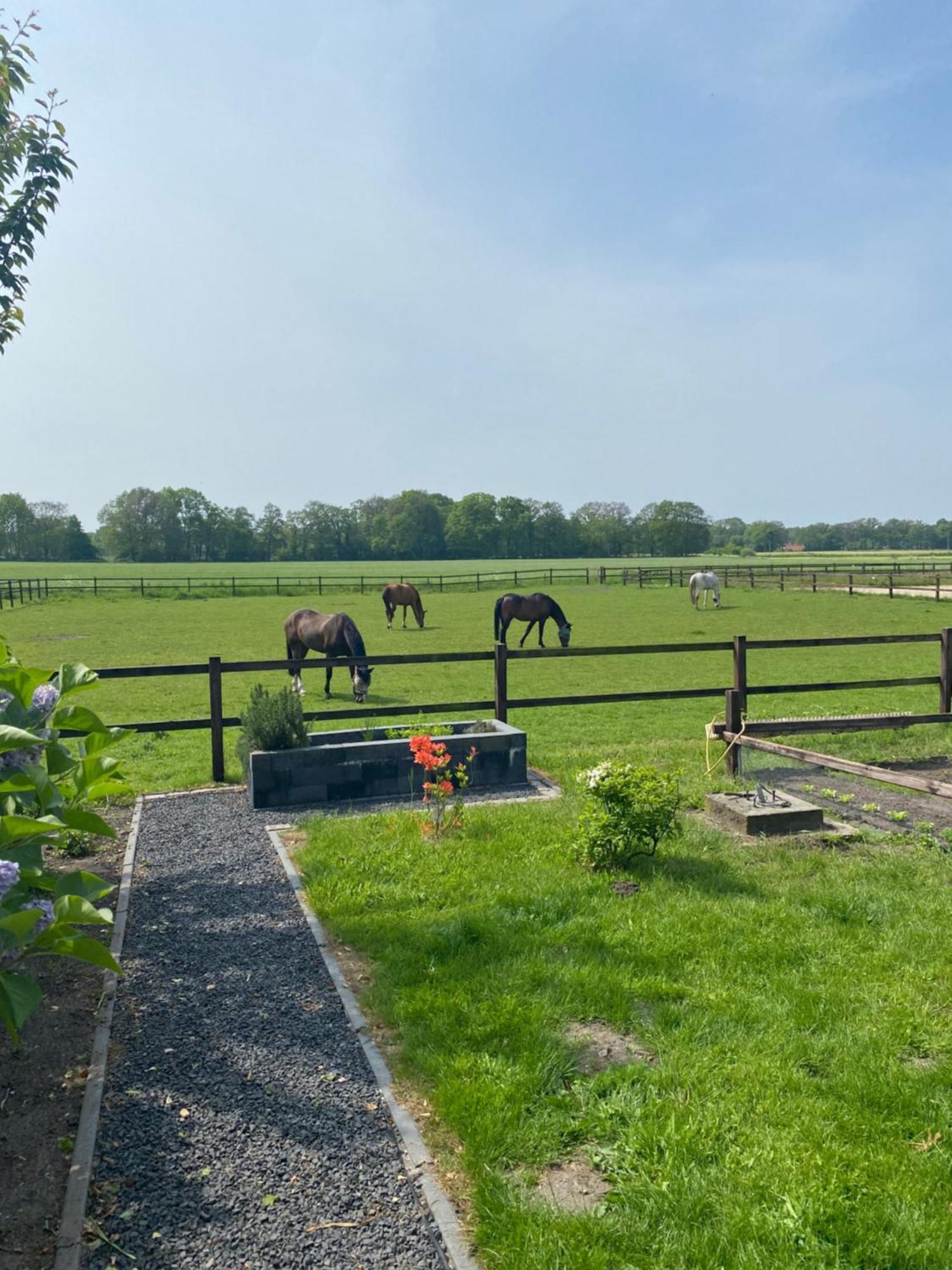 Erve Het Roolvink Boerderij Appartementen 40-50 M2 เอนส์เคอเด ภายนอก รูปภาพ